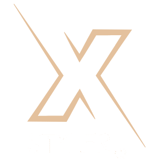 Black and Whsssite X Letter Digital Company Logo